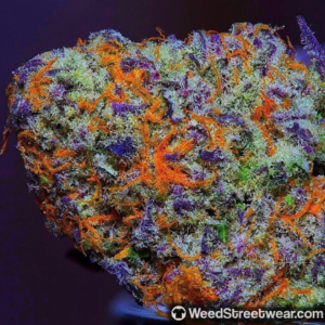 Purple Eden CBD — fleur pourpre